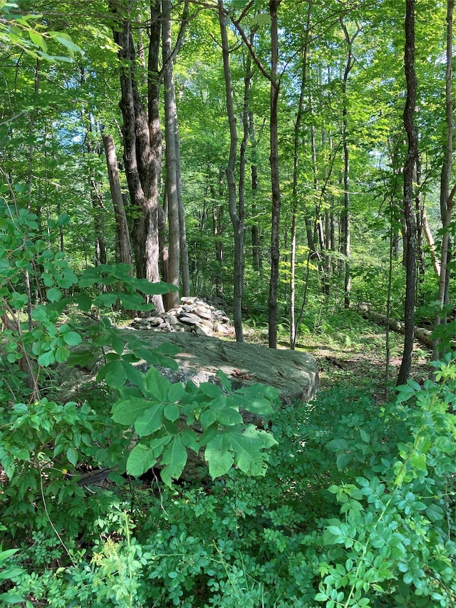 Adam Wagner Ln, Mahopac, NY 10541