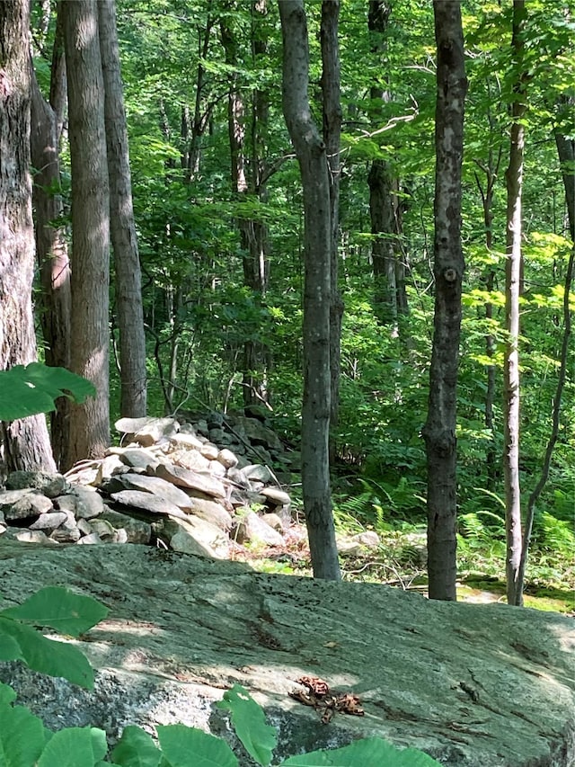 Adam Wagner Ln, Mahopac, NY 10541