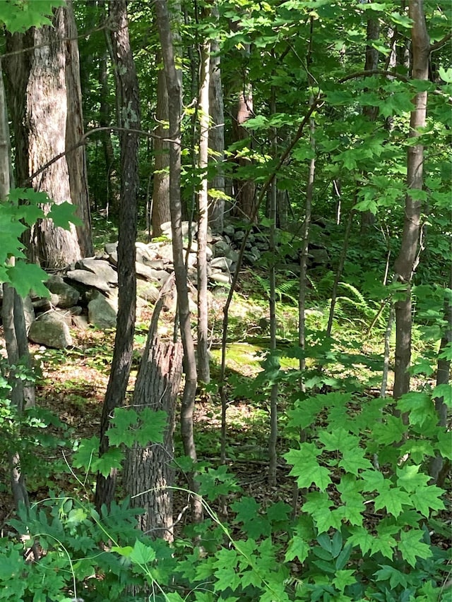 Adam Wagner Ln, Mahopac, NY 10541