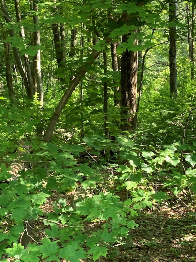 Adam Wagner Ln, Mahopac, NY 10541