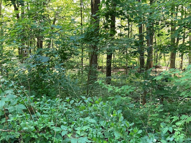 Adam Wagner Ln, Mahopac, NY 10541