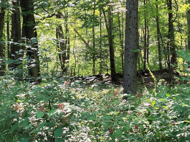 Adam Wagner Ln, Mahopac, NY 10541