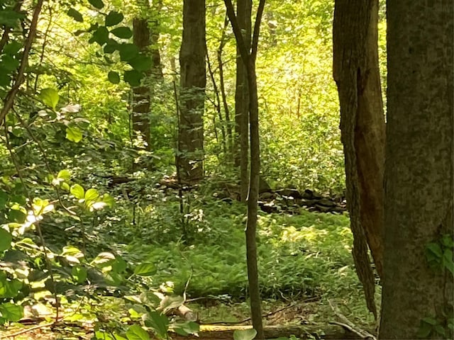Adam Wagner Ln, Mahopac, NY 10541