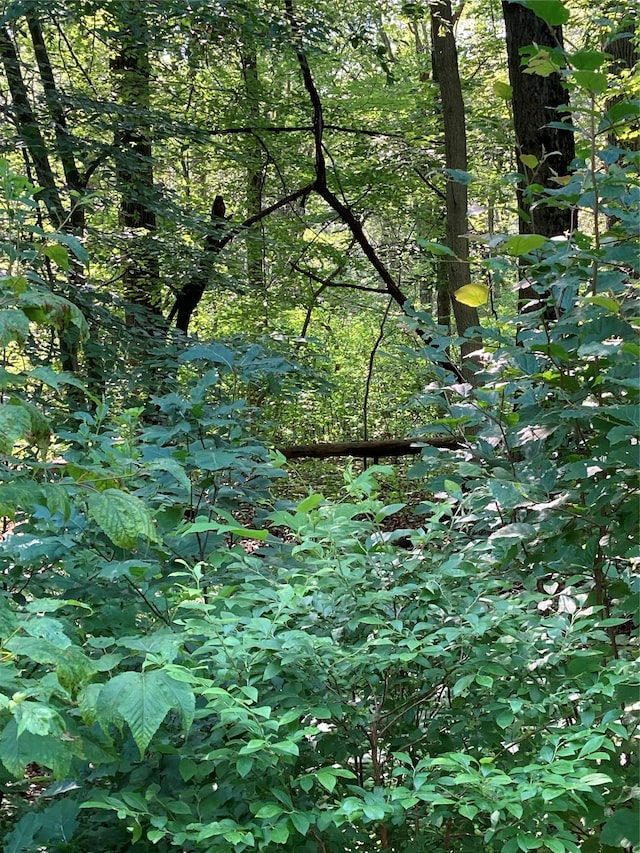 Adam Wagner Ln, Mahopac, NY 10541