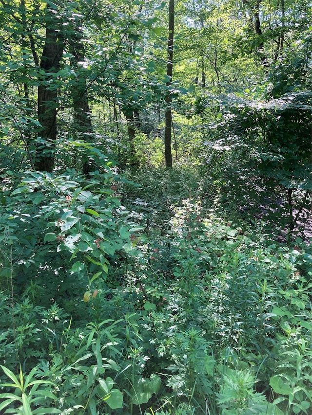 Adam Wagner Ln, Mahopac, NY 10541