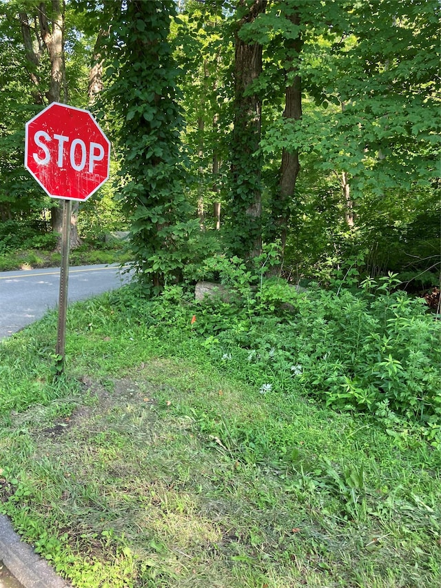 Adam Wagner Ln, Mahopac, NY 10541