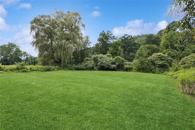 297 Farm To Market Rd, Brewster, NY 10509 - view of green lawn
