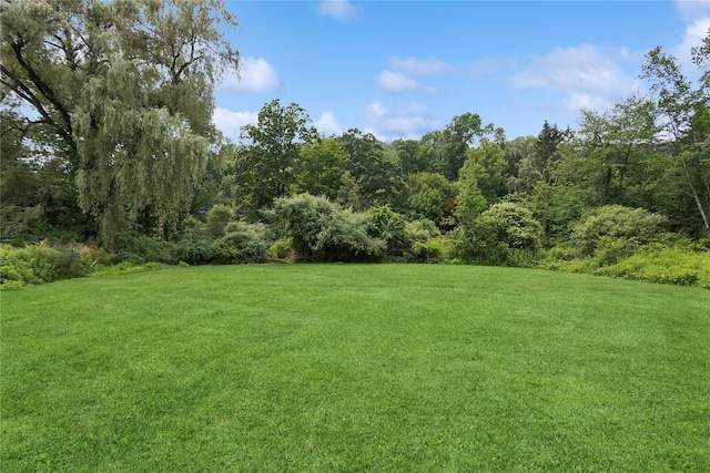 297 Farm To Market Rd, Brewster, NY 10509 - view of grassy yard
