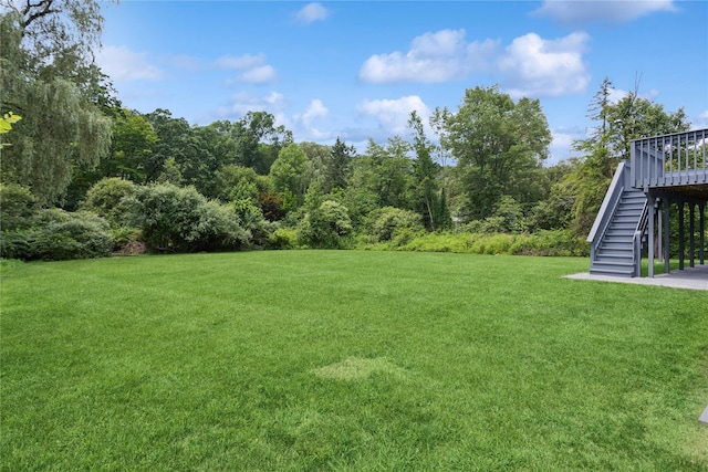297 Farm To Market Rd, Brewster, NY 10509 - view of green lawn with stairway