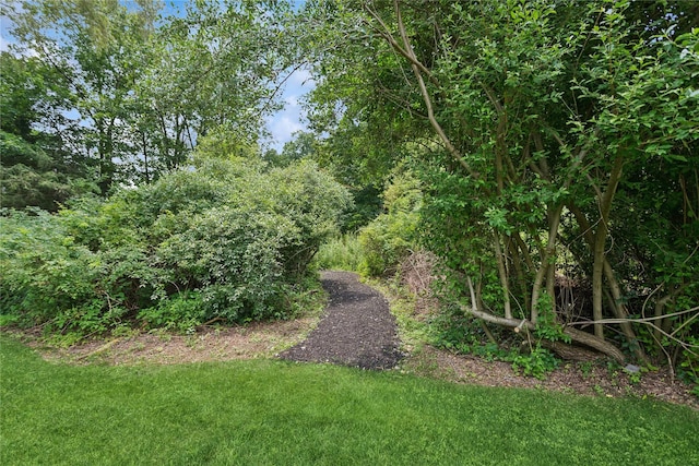 297 Farm To Market Rd, Brewster, NY 10509 - view of grassy yard