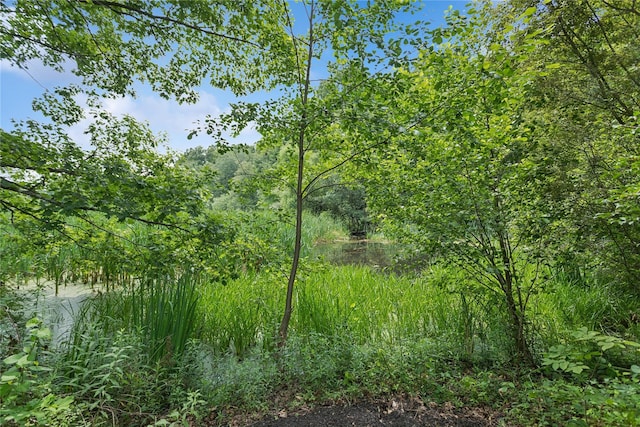 297 Farm To Market Rd, Brewster, NY 10509 - view of woods