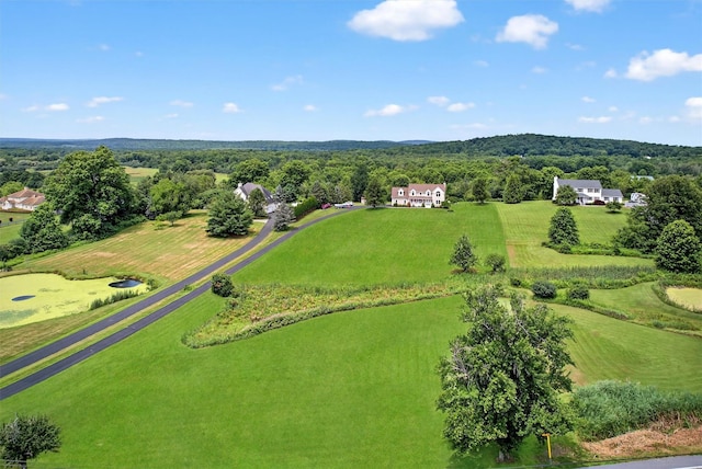 106 Maple Ave, Goshen, NY 10924 - bird's eye view of a forest