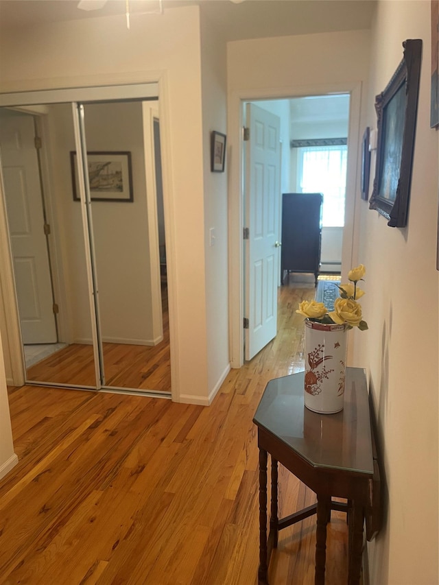 22 Jerusalem Hollow Rd, Manorville, NY 11949 - photo 20