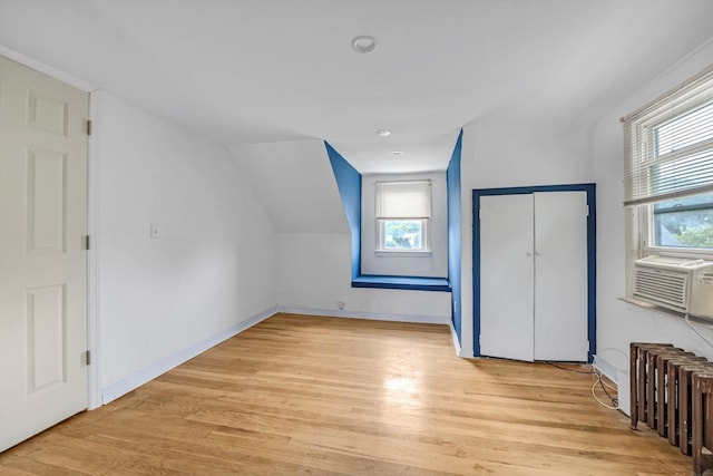 20 Bogart St, Huntington Station, NY 11746 - photo 13