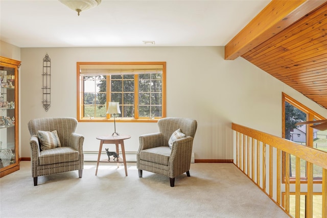 48 County Route 14, Hudson, NY 12534 - photo 17