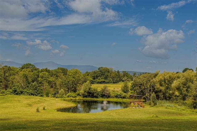 48 County Route 14, Hudson, NY 12534 - photo 41