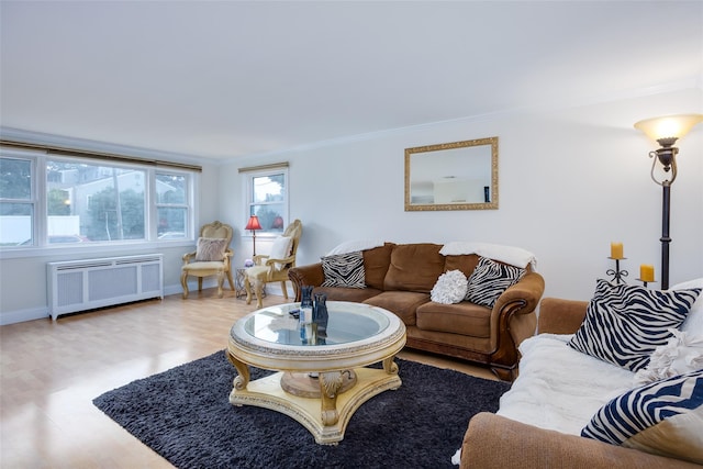 414 Pecan St, Lindenhurst, NY 11757 - living room with radiator heating unit, wood finished floors, and crown molding