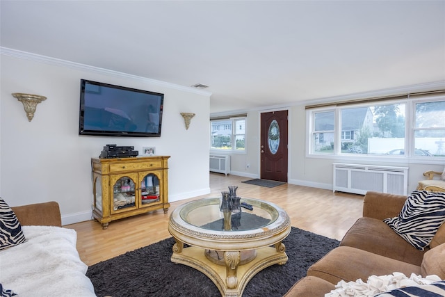 414 Pecan St, Lindenhurst, NY 11757 - living room with radiator heating unit, wood finished floors, and ornamental molding