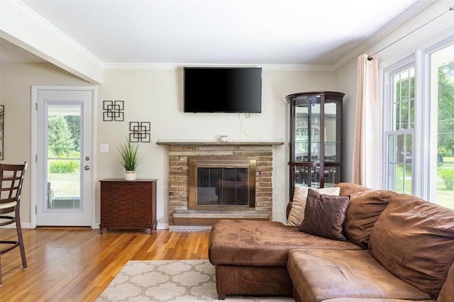 18 Alexander Blvd, Poughkeepsie, NY 12603 - living area with wood finished floors, crown molding, and a fireplace