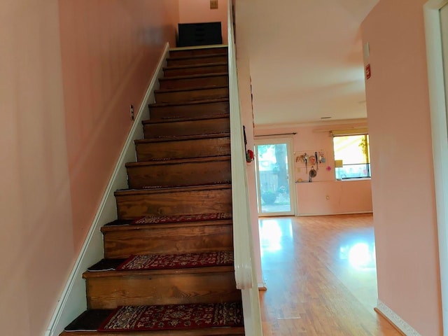 1807 Holly Walk, Poughkeepsie, NY 12603 - photo 5