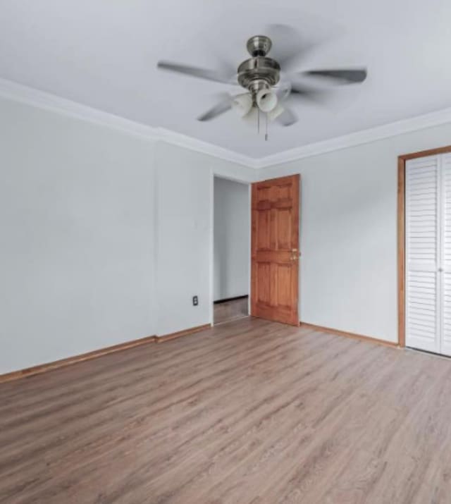 1087 Blake Ave, Brooklyn, NY 11208 - photo 12