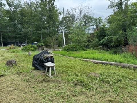 69 Minisink Trl, Glen Spey, NY 12737 - photo 4