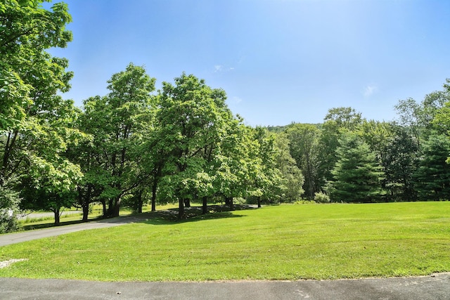 136 Kautz Rd Unit 136, Callicoon, NY 12723 - photo 21