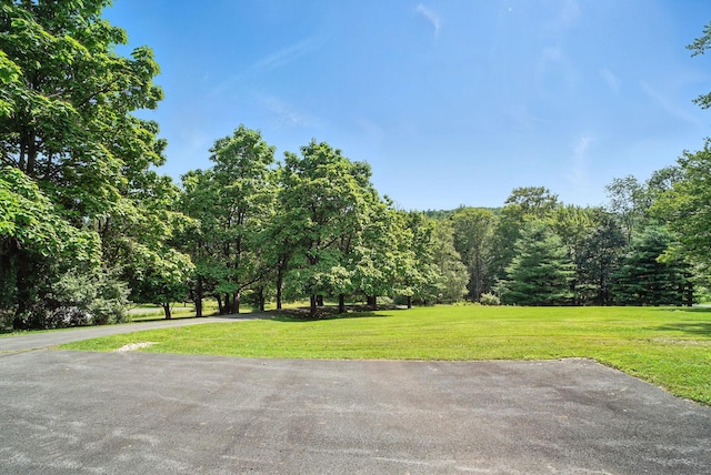 136 Kautz Rd Unit 136, Callicoon, NY 12723 - photo 22