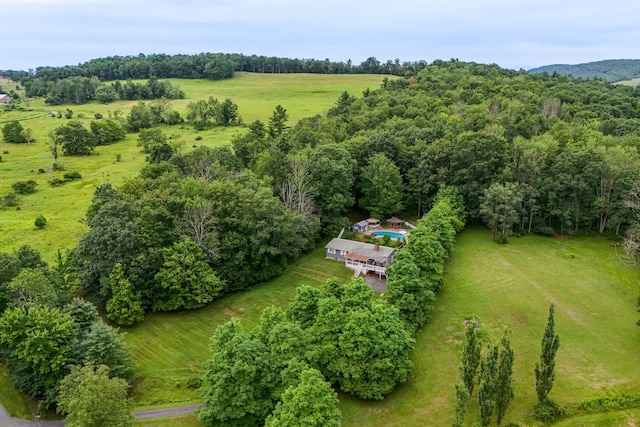 136 Kautz Rd Unit 136, Callicoon, NY 12723 - photo 33