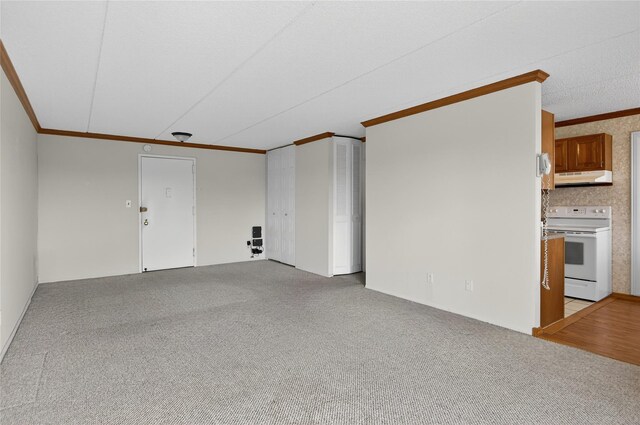 175 Maple Ave Unit 5G, Westbury, NY 11590 - photo 4