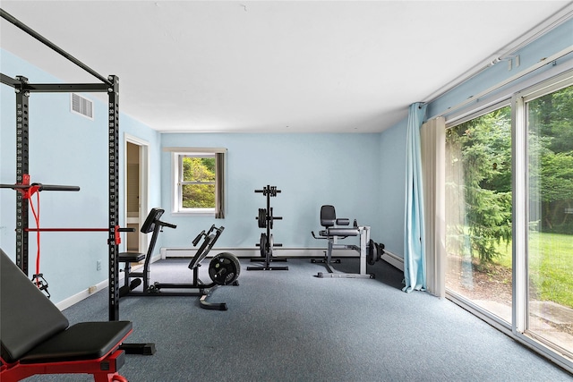 14 Pheasant Hill Ln, Old Brookville, NY 11545 - exercise area with baseboards