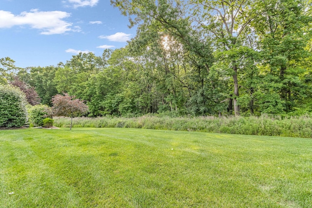 7 Honeysuckle Ln, Rye Brook, NY 10573 - view of green lawn with a view of trees