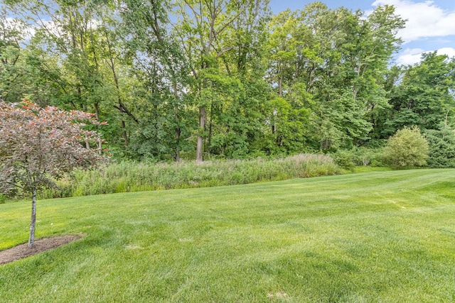 7 Honeysuckle Ln, Rye Brook, NY 10573 - view of grassy yard