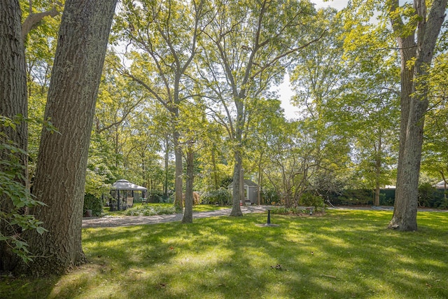 88 W End Ave, Shirley, NY 11967 - photo 19