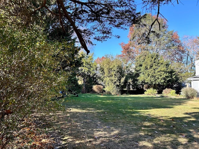 477 Manor Ln, Pelham, NY 10803