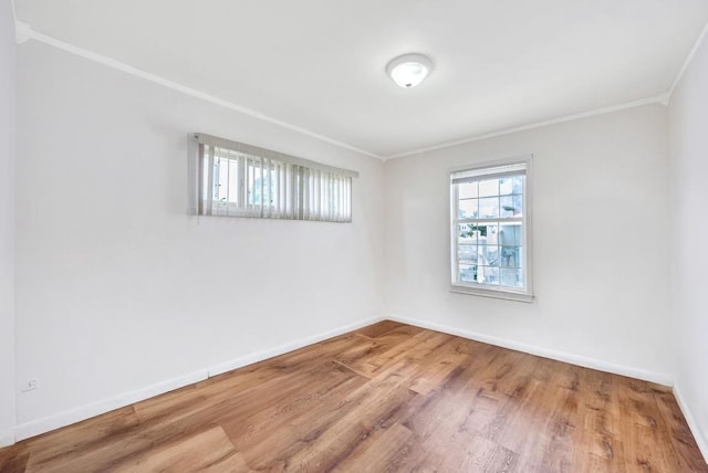 890 Polk Ave, Franklin Square, NY 11010 - photo 19