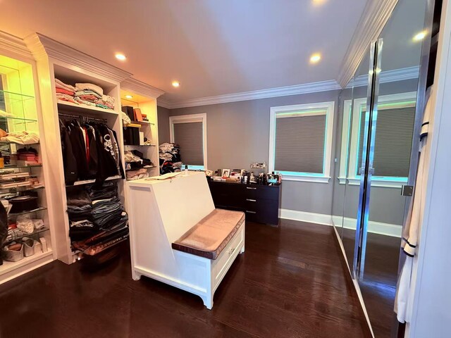 26 Birchdale Ln, Port Washington, NY 11050 - photo 11