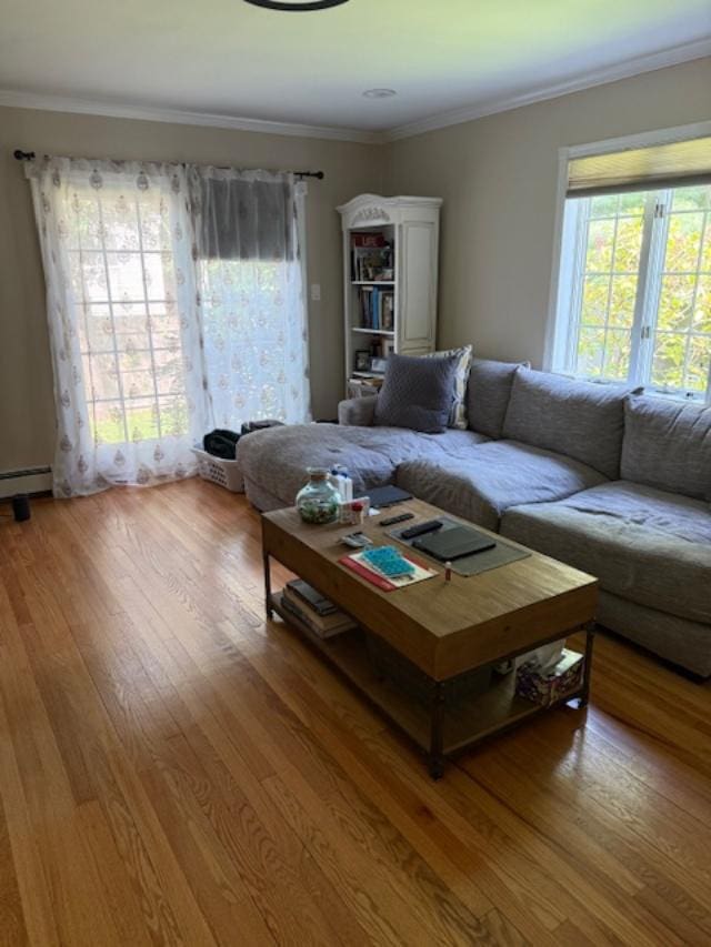 9 Seneca St E, Massapequa, NY 11758 - living room with healthy amount of natural light, light wood-type flooring, crown molding, and a baseboard radiator