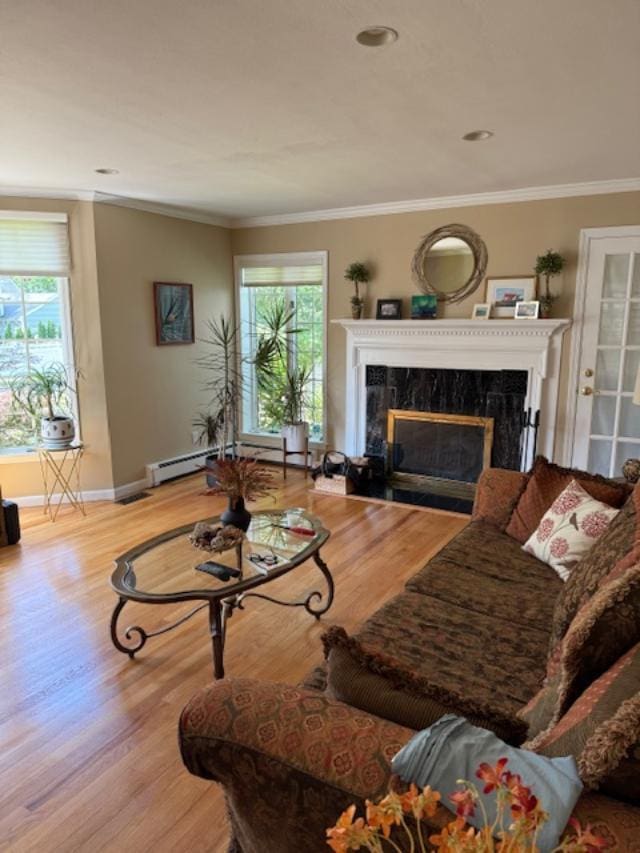 9 Seneca St E, Massapequa, NY 11758 - living room with a premium fireplace, wood finished floors, and crown molding