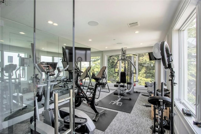 74 River Rd, Nyack, NY 10960 - gym with healthy amount of natural light and recessed lighting