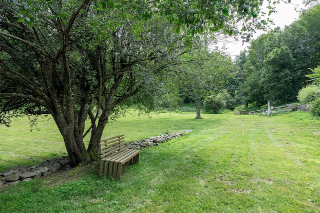 401 Woodmont Rd, Hopewell Junction, NY 12533 - photo 43