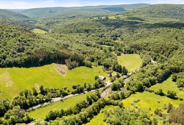 2018 Beaverkill Rd, Livingston Manor, NY 12758 - drone / aerial view of a mountainous background and a heavily wooded area