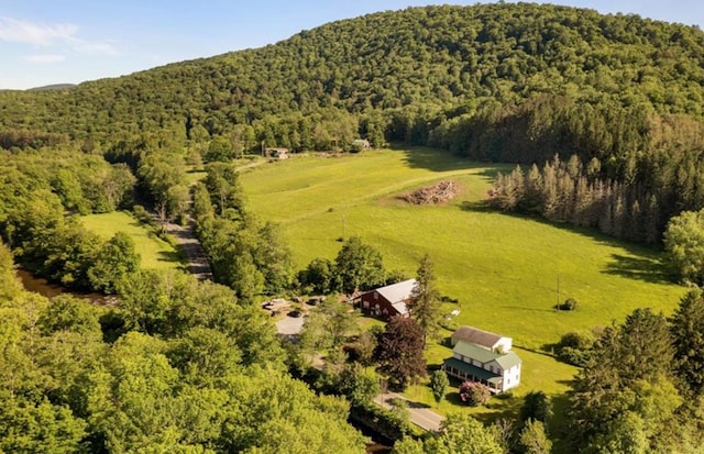 2018 Beaverkill Rd, Livingston Manor, NY 12758 - overview of rural landscape with a heavily wooded area