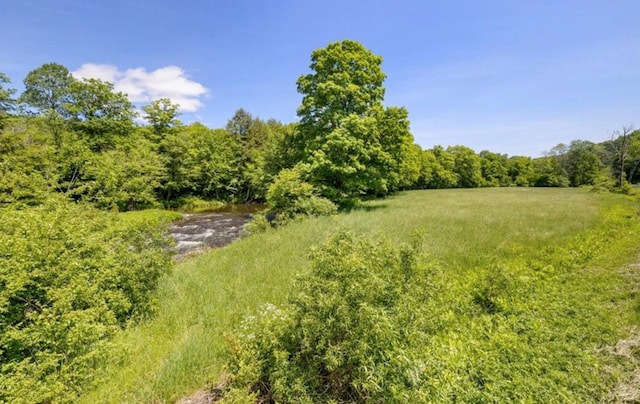 2018 Beaverkill Rd, Livingston Manor, NY 12758 - view of yard featuring a wooded view