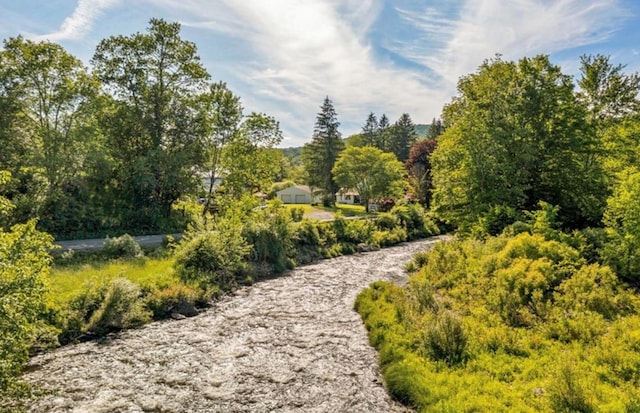 2018 Beaverkill Rd, Livingston Manor, NY 12758 - view of community