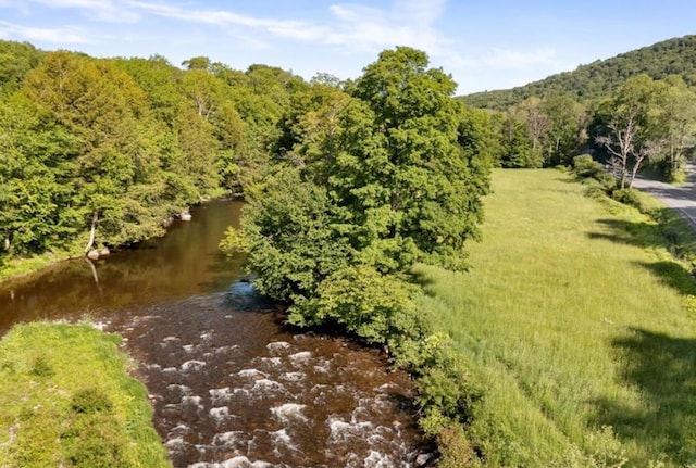 2018 Beaverkill Rd, Livingston Manor, NY 12758 - drone / aerial view of a forest