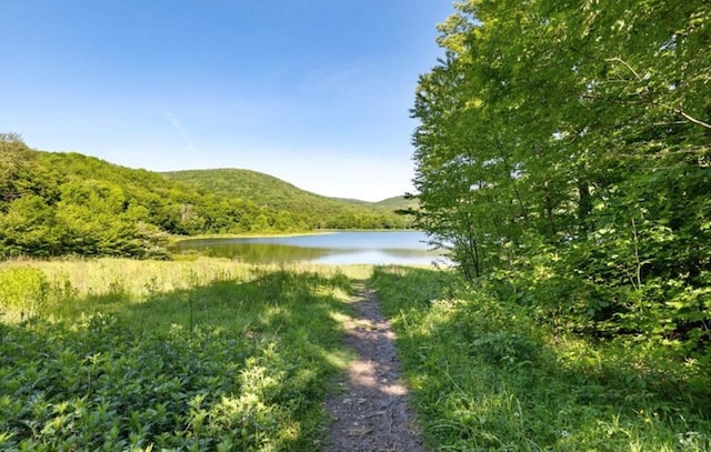 2018 Beaverkill Rd, Livingston Manor, NY 12758 - water view