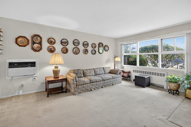 5 Clark St, Plainview, NY 11803 - carpeted living area with radiator and an AC wall unit
