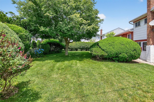 5 Clark St, Plainview, NY 11803 - view of grassy yard