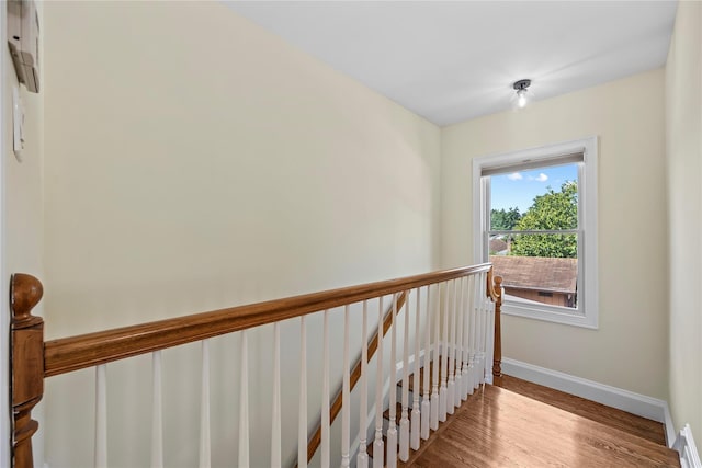 45-26 Zion St, Little Neck, NY 11362 - photo 15
